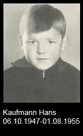 Kaufmann-Hans..-1947-bis-1955