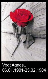 Vogt-Agnes..-1872-bis-1984