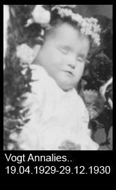 Vogt-Annalies..-1929-bis-1930