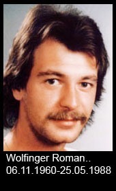 Wolfinger-Roman..-1960-bis-1988