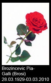 Brozincevic-Pia-Galli-Brosi-1929-bis-2010